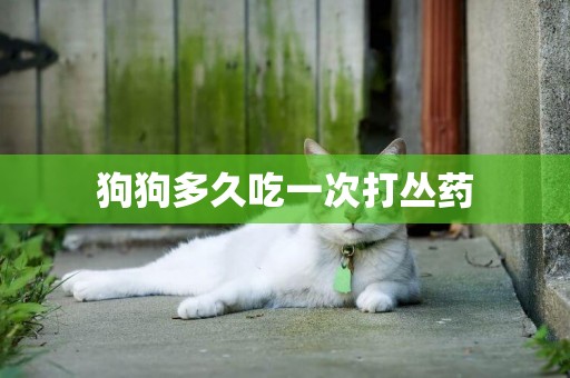 狗狗多久吃一次打叢藥