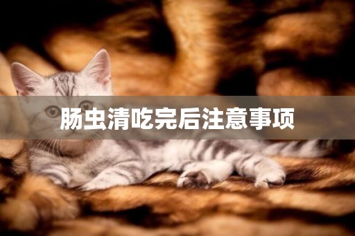 腸蟲清吃完后注意事項