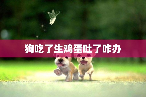 狗吃了生雞蛋吐了咋辦