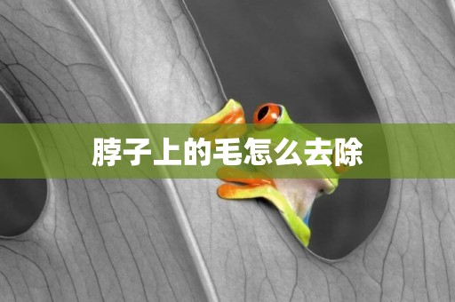 脖子上的毛怎么去除
