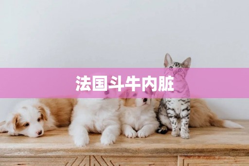 法國斗牛內臟