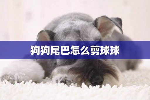 狗狗尾巴怎么剪球球