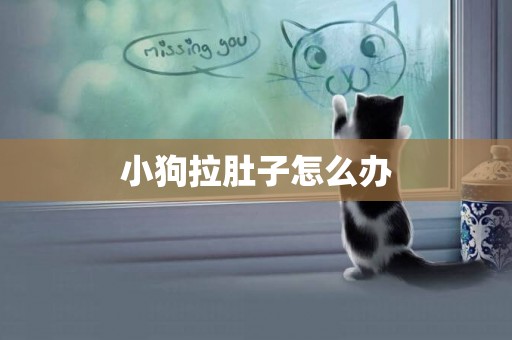 小狗拉肚子怎么辦