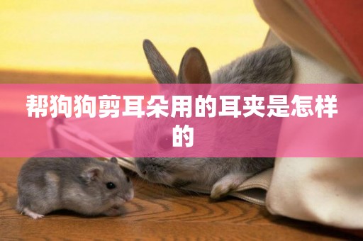 幫狗狗剪耳朵用的耳夾是怎樣的