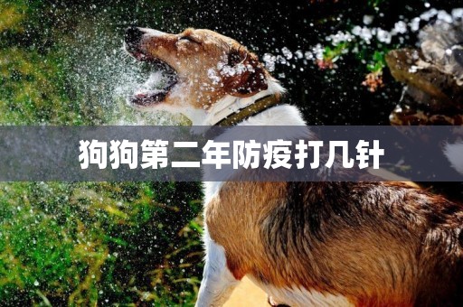 狗狗第二年防疫打幾針