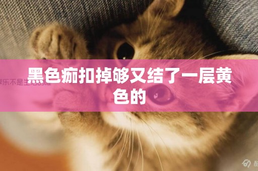 黑色痂扣掉夠又結了一層黃色的