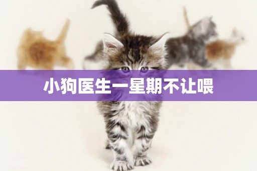 小狗醫生一星期不讓喂