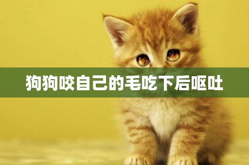 狗狗咬自己的毛吃下后嘔吐