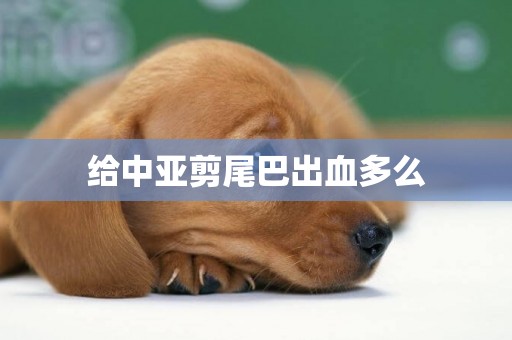 給中亞剪尾巴出血多么