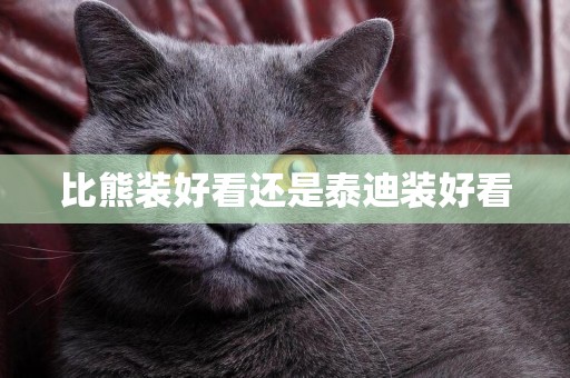 比熊裝好看還是泰迪裝好看