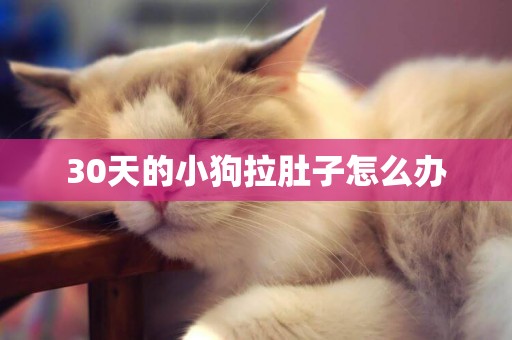 30天的小狗拉肚子怎么辦