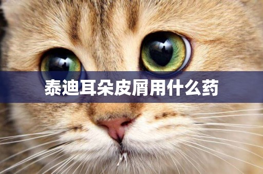 泰迪耳朵皮屑用什么藥
