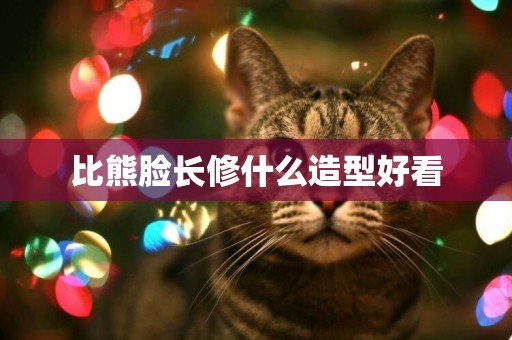比熊臉長修什么造型好看