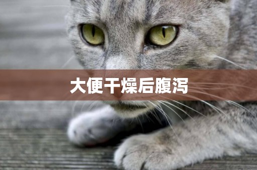 大便干燥后腹瀉