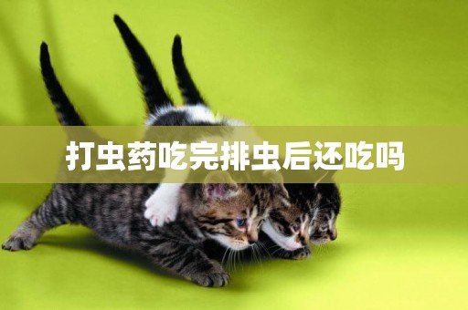 打蟲藥吃完排蟲后還吃嗎
