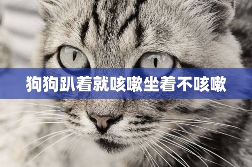 狗狗趴著就咳嗽坐著不咳嗽