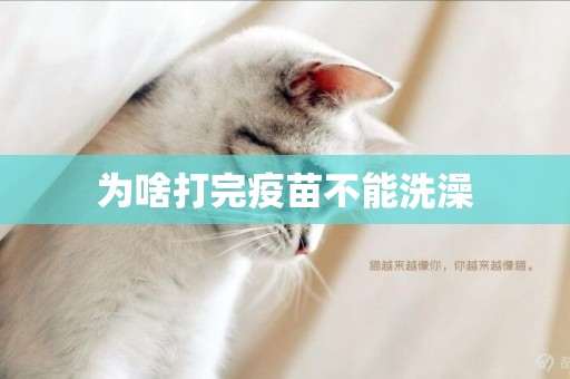 為啥打完疫苗不能洗澡