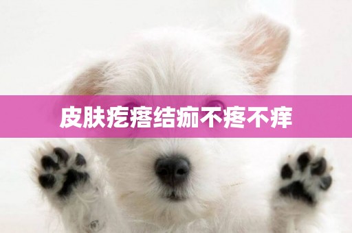 皮膚疙瘩結痂不疼不癢
