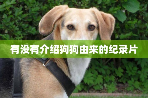 有沒有介紹狗狗由來的紀錄片