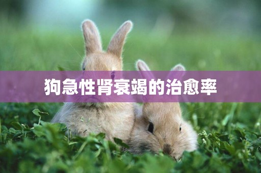 狗急性腎衰竭的治愈率