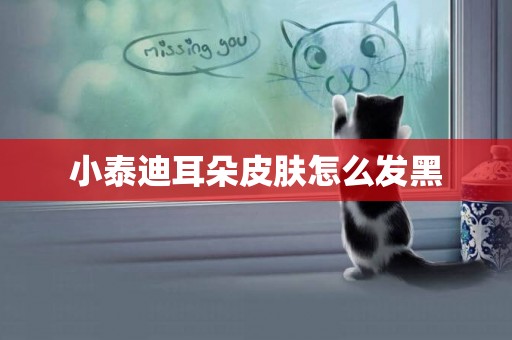 小泰迪耳朵皮膚怎么發黑
