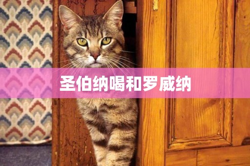 圣伯納喝和羅威納