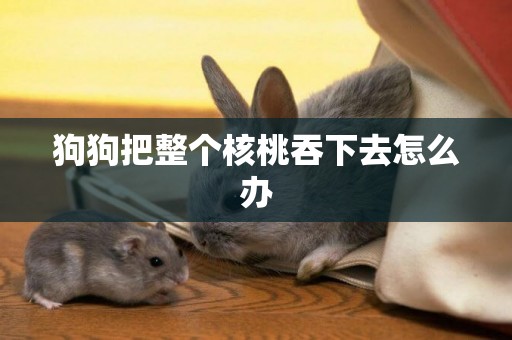 狗狗把整個核桃吞下去怎么辦