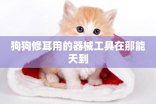 狗狗修耳用的器械工具在那能天到