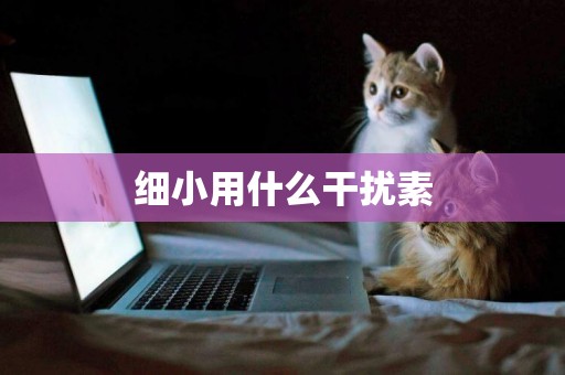細小用什么干擾素