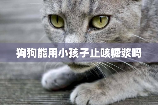 狗狗能用小孩子止咳糖漿嗎