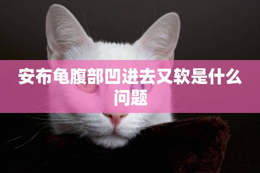 安布龜腹部凹進去又軟是什么問題