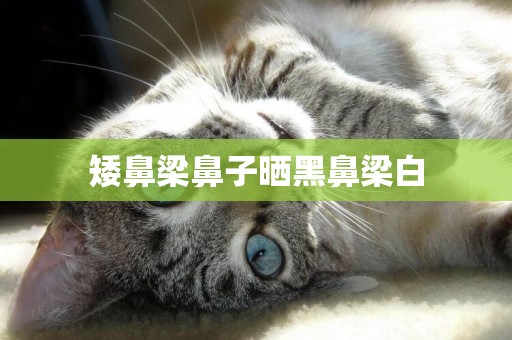 矮鼻梁鼻子曬黑鼻梁白