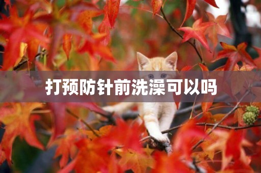 打預防針前洗澡可以嗎