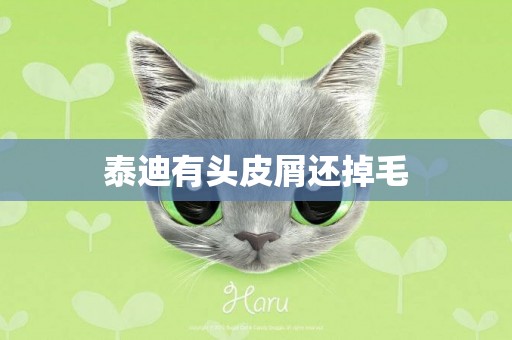 泰迪有頭皮屑還掉毛
