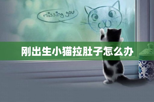 剛出生小貓拉肚子怎么辦