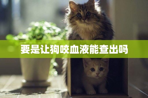 要是讓狗咬血液能查出嗎