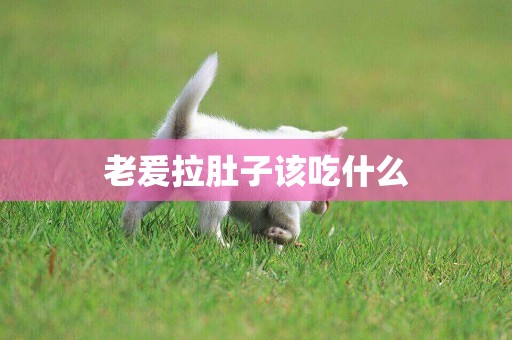 老爰拉肚子該吃什么