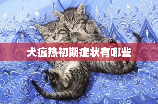 犬瘟熱初期癥狀有哪些