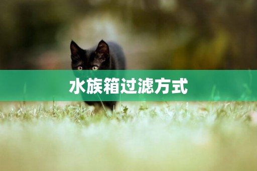 水族箱過濾方式