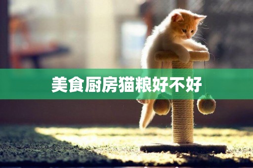 美食廚房貓糧好不好