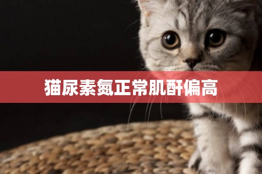 貓尿素氮正常肌酐偏高
