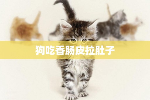狗吃香腸皮拉肚子