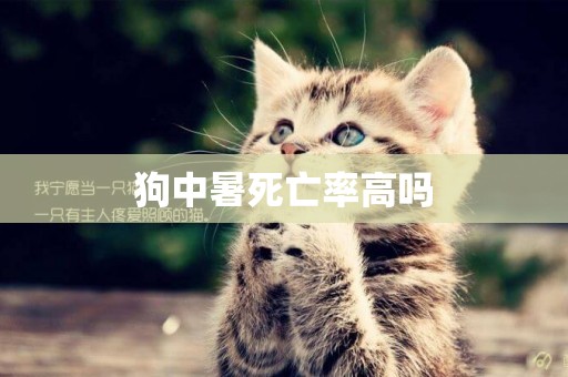 狗中暑死亡率高嗎