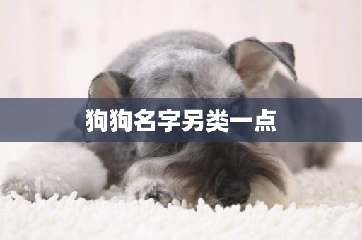 狗狗名字另類一點