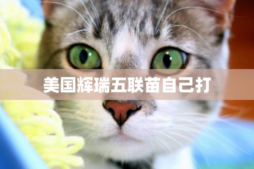 美國輝瑞五聯苗自己打