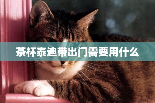 茶杯泰迪帶出門需要用什么