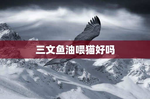 三文魚油喂貓好嗎