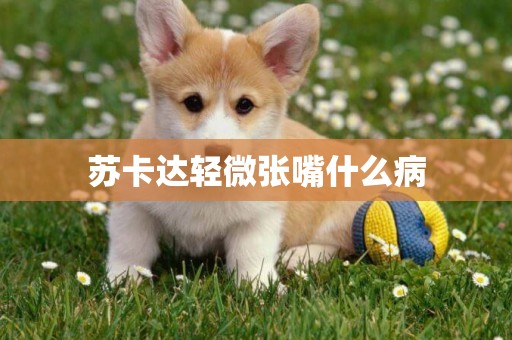 蘇卡達輕微張嘴什么病