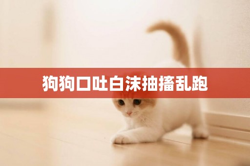狗狗口吐白沫抽搐亂跑