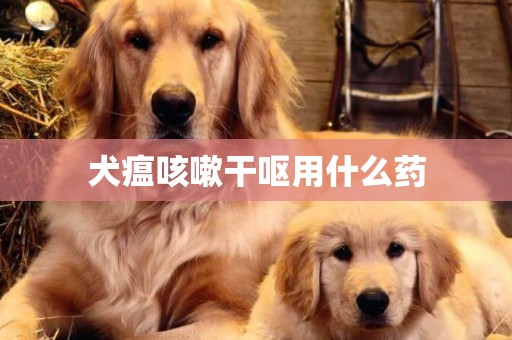 犬瘟咳嗽干嘔用什么藥